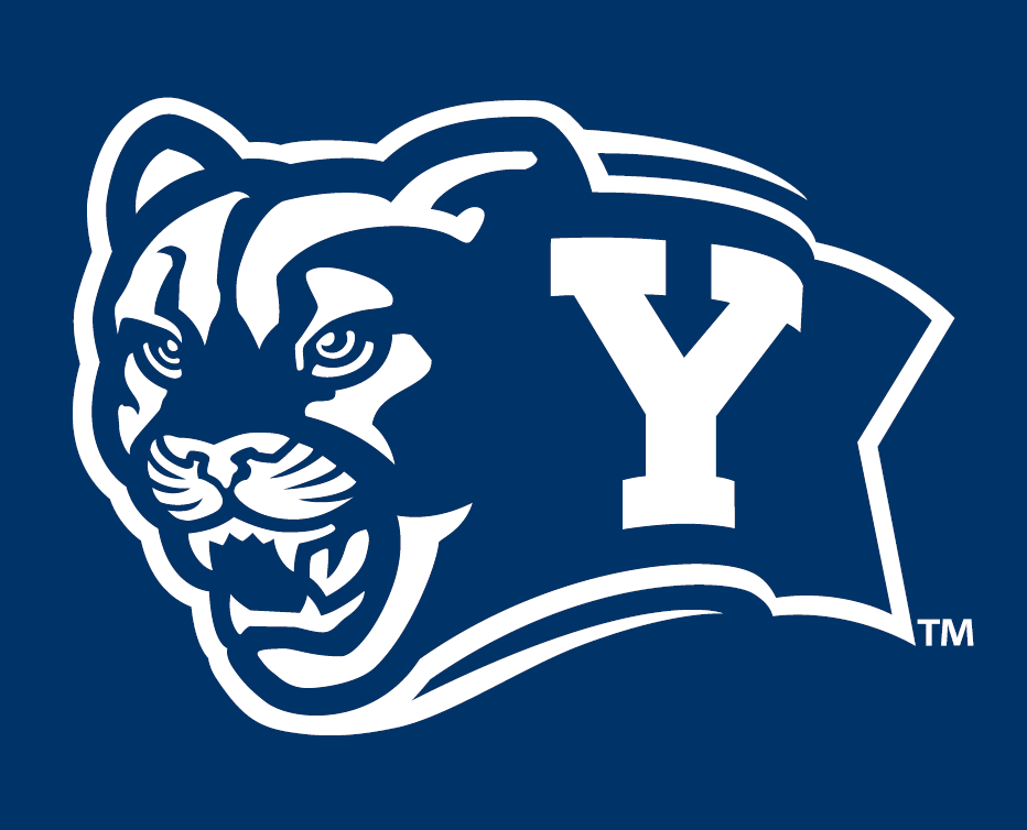 Brigham Young Cougars 2005-Pres Alternate Logo v7 DIY iron on transfer (heat transfer)